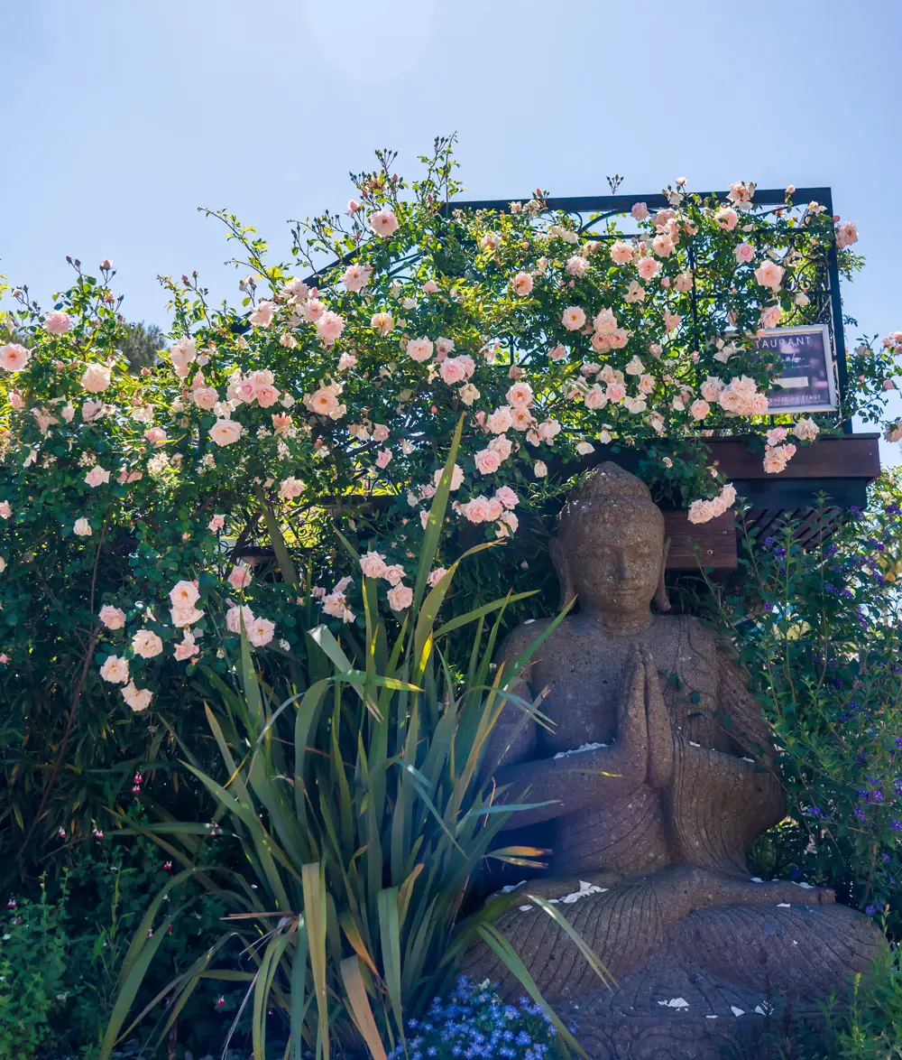 Bouddha sous les roses – Esterel Caravaning